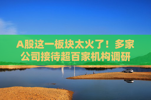 A股这一板块太火了！多家公司接待超百家机构调研