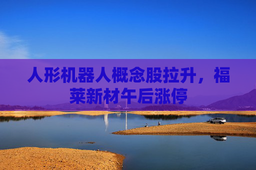 人形机器人概念股拉升，福莱新材午后涨停
