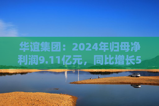 华谊集团：2024年归母净利润9.11亿元，同比增长5.76%