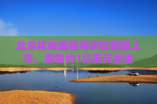 北京核桃编程寻求在美国上市，筹集约1亿美元资金