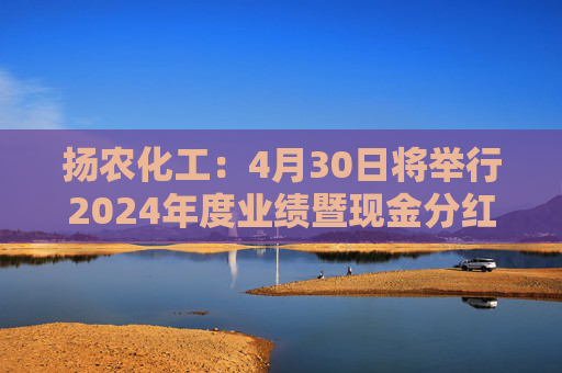 扬农化工：4月30日将举行2024年度业绩暨现金分红说明会