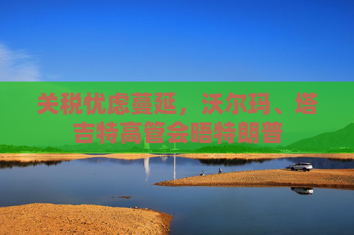 关税忧虑蔓延，沃尔玛、塔吉特高管会晤特朗普
