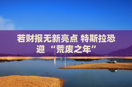 若财报无新亮点 特斯拉恐迎 “荒废之年”
