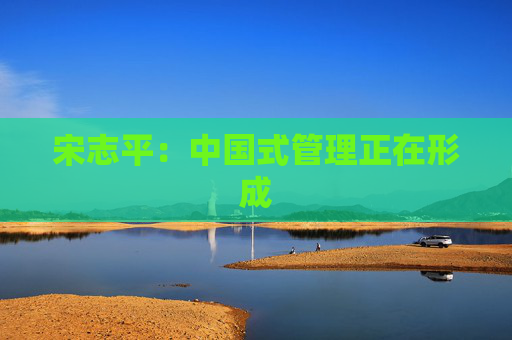 宋志平：中国式管理正在形成
