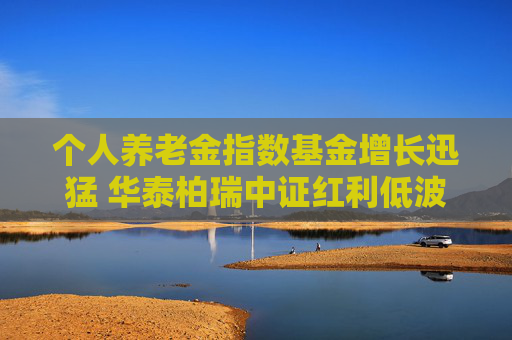 个人养老金指数基金增长迅猛 华泰柏瑞中证红利低波ETF联接Y份额成为首个规模超1亿元的“指数Y”  第1张