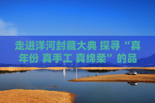 走进洋河封藏大典 探寻“真年份 真手工 真绵柔”的品质密码