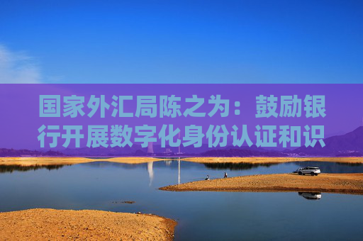 国家外汇局陈之为：鼓励银行开展数字化身份认证和识别服务，支持金融机构利用区块链技术等优化真实性审核
