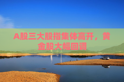 A股三大股指集体高开，黄金股大幅回调