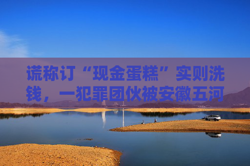 谎称订“现金蛋糕”实则洗钱，一犯罪团伙被安徽五河警方摧毁