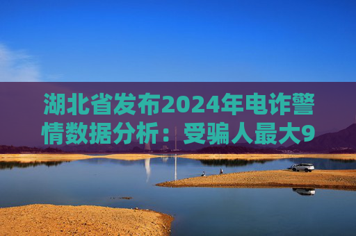 湖北省发布2024年电诈警情数据分析：受骗人最大96岁最小仅6岁