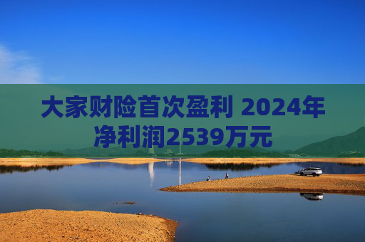 大家财险首次盈利 2024年净利润2539万元