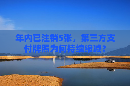 年内已注销5张，第三方支付牌照为何持续缩减？