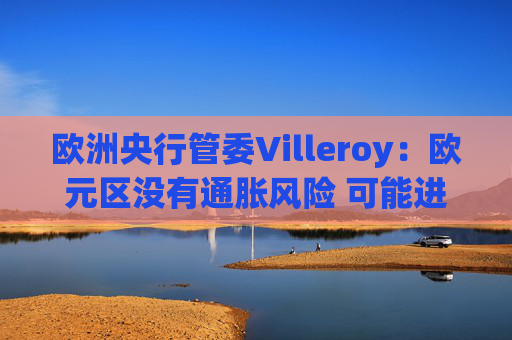 欧洲央行管委Villeroy：欧元区没有通胀风险 可能进一步降息