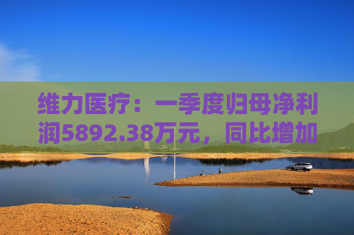 维力医疗：一季度归母净利润5892.38万元，同比增加17.25%