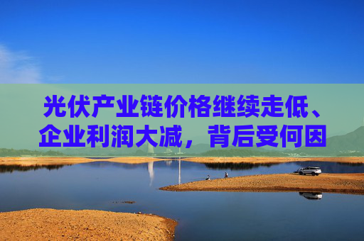 光伏产业链价格继续走低、企业利润大减，背后受何因素影响