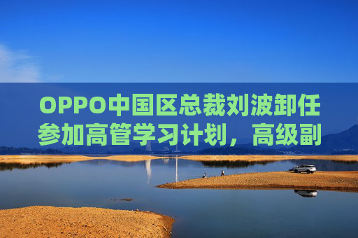 OPPO中国区总裁刘波卸任参加高管学习计划，高级副总裁段要辉直接负责中国市场