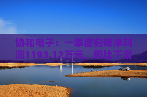 协和电子：一季度归母净利润1193.12万元，同比下滑10.25%