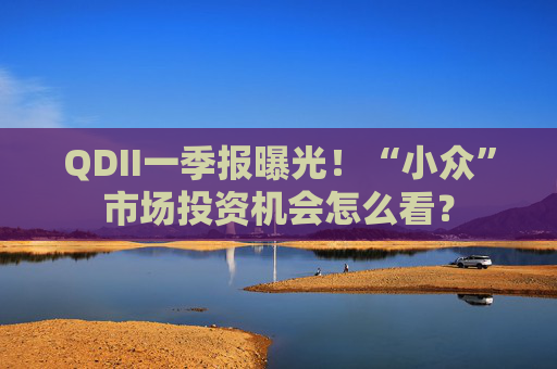QDII一季报曝光！“小众”市场投资机会怎么看？
