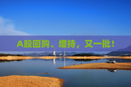 A股回购、增持，又一批！