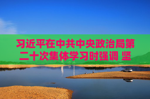 习近平在中共中央政治局第二十次集体学习时强调 坚持自立自强 突出应用导向 推动人工智能健康有序发展