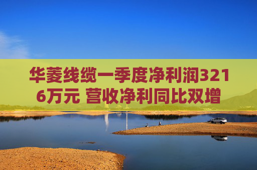 华菱线缆一季度净利润3216万元 营收净利同比双增
