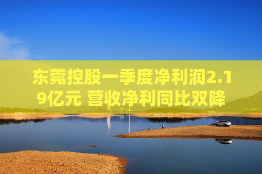 东莞控股一季度净利润2.19亿元 营收净利同比双降