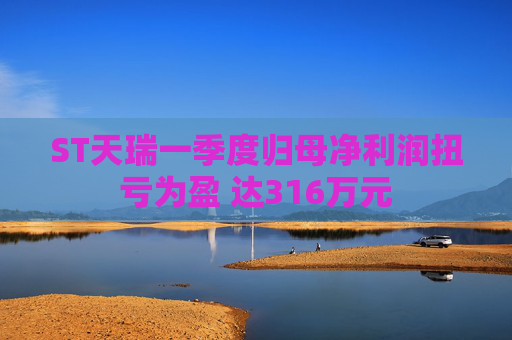 ST天瑞一季度归母净利润扭亏为盈 达316万元