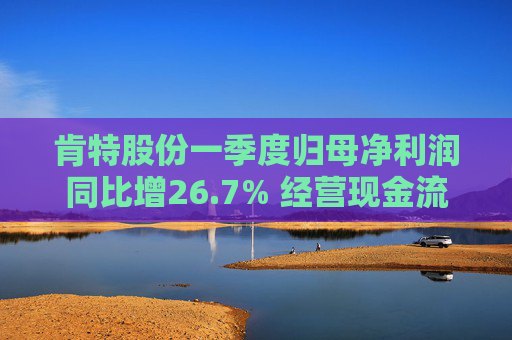 肯特股份一季度归母净利润同比增26.7% 经营现金流净额降17%