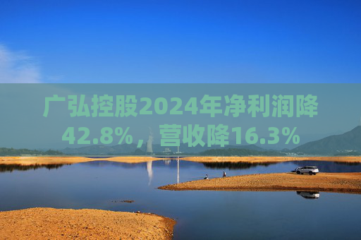 广弘控股2024年净利润降42.8%，营收降16.3%