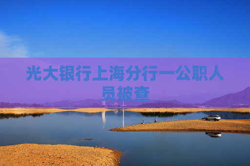 光大银行上海分行一公职人员被查
