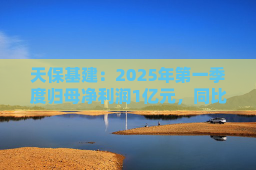 天保基建：2025年第一季度归母净利润1亿元，同比增长737.29%