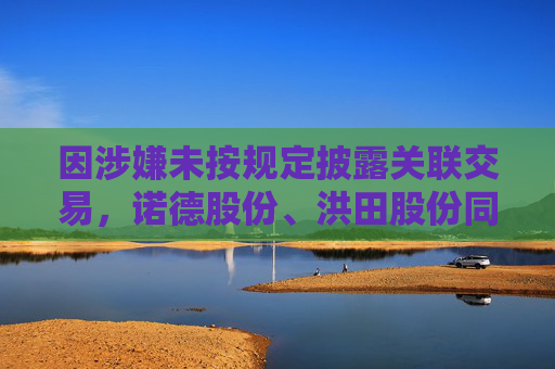 因涉嫌未按规定披露关联交易，诺德股份、洪田股份同日被立案！最新回应