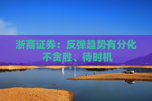 浙商证券：反弹趋势有分化 不贪胜、待时机