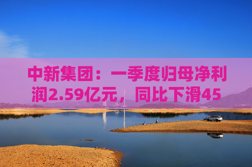 中新集团：一季度归母净利润2.59亿元，同比下滑45.13%
