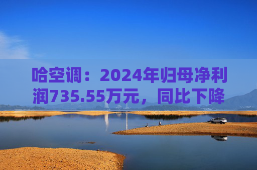哈空调：2024年归母净利润735.55万元，同比下降65.53%