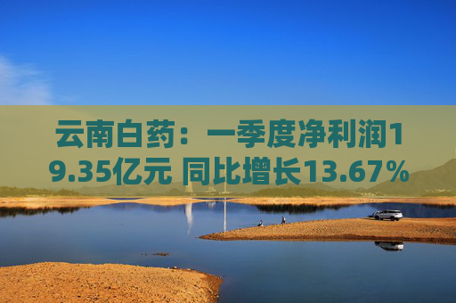 云南白药：一季度净利润19.35亿元 同比增长13.67%
