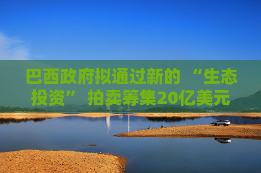 巴西政府拟通过新的 “生态投资” 拍卖筹集20亿美元资金