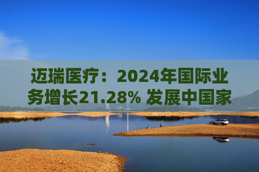 迈瑞医疗：2024年国际业务增长21.28% 发展中国家成重要增长引擎