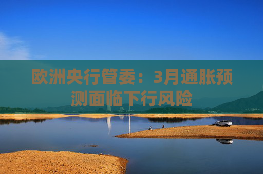 欧洲央行管委：3月通胀预测面临下行风险