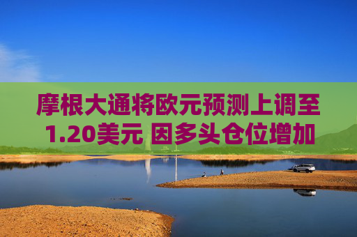 摩根大通将欧元预测上调至1.20美元 因多头仓位增加