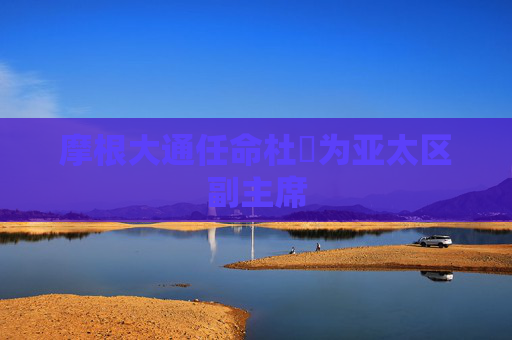 摩根大通任命杜峯为亚太区副主席
