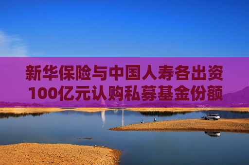 新华保险与中国人寿各出资100亿元认购私募基金份额