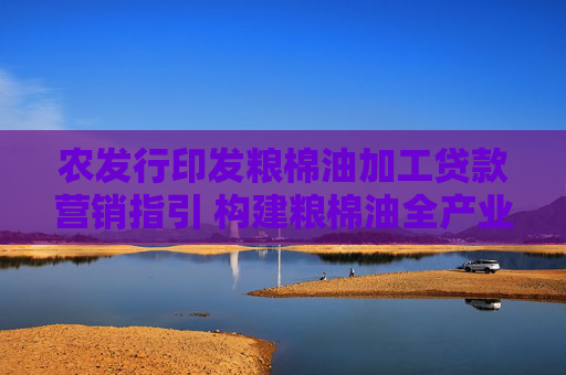 农发行印发粮棉油加工贷款营销指引 构建粮棉油全产业链营销产品体系