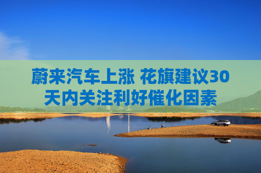 蔚来汽车上涨 花旗建议30天内关注利好催化因素