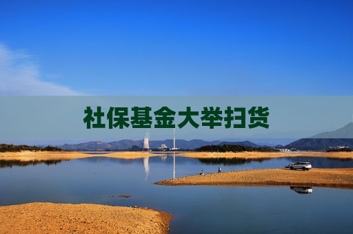 社保基金大举扫货