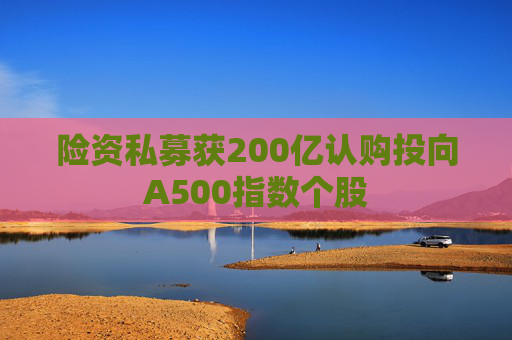 险资私募获200亿认购投向A500指数个股