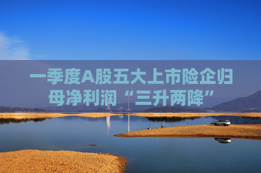 一季度A股五大上市险企归母净利润“三升两降”