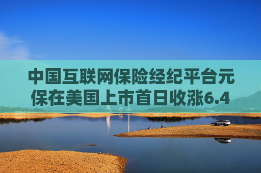 中国互联网保险经纪平台元保在美国上市首日收涨6.4%