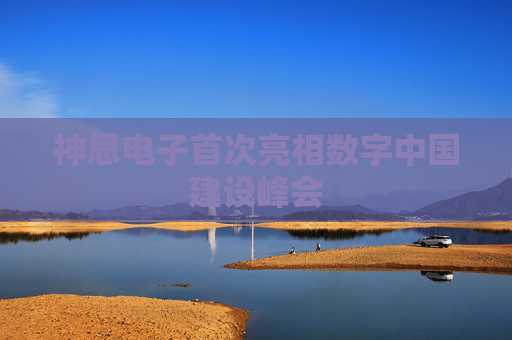 神思电子首次亮相数字中国建设峰会