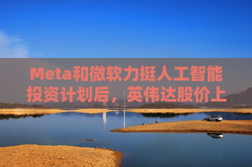Meta和微软力挺人工智能投资计划后，英伟达股价上涨并引领芯片股反弹